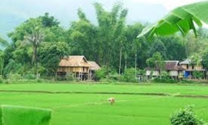 Mai Chau 01 Day Trip