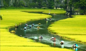 Hanoi - Halong bay - Sapa - City tour (7ds 6ns Package)
