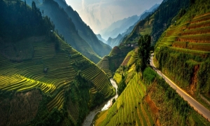 Sapa Medium Trekking 04 Nights 03 Days (By train)