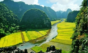 Hoa Lu - Tam Coc 01 Day trip