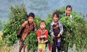 Sapa Medium Trekking 04 Nights 03 Days (By train)