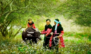 Sapa Medium Trekking 04 Nights 03 Days (By train)