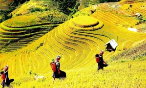 Sapa Medium Trekking 04 Nights 03 Days (By train)
