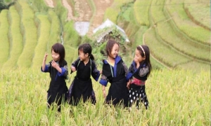 Sapa Medium Trekking 04 Nights 03 Days (By train)